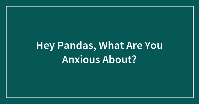 Hey Pandas, What Are You Anxious About? (Closed)