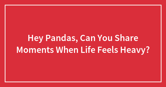 Hey Pandas, Can You Share Moments When Life Feels Heavy? (Closed)