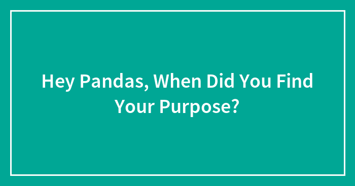 Hey Pandas, When Did You Find Your Purpose? (Closed)