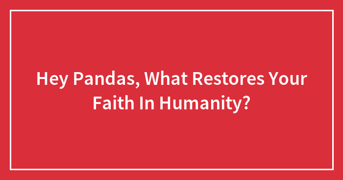 Hey Pandas, What Restores Your Faith In Humanity?