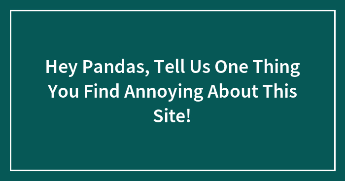 Hey Pandas, Tell Us One Thing You Find Annoying About This Site!