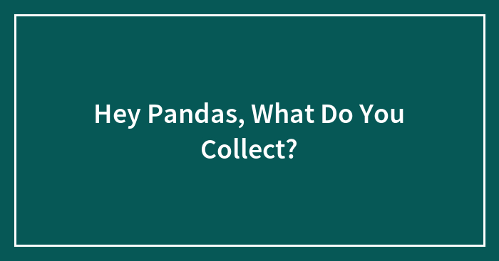 Hey Pandas, What Do You Collect?