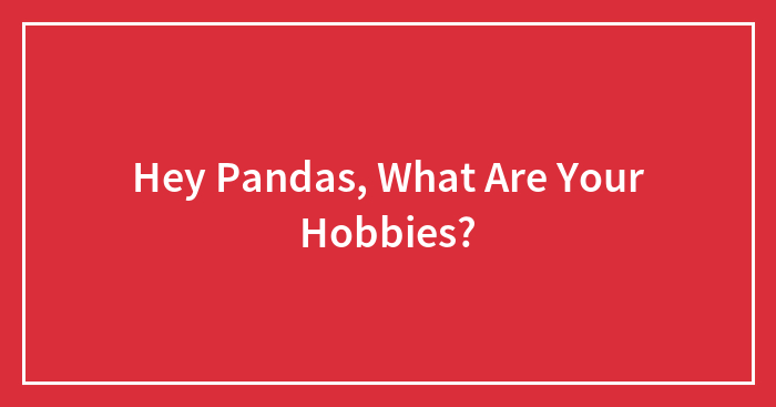 Hey Pandas, What Are Your Hobbies?