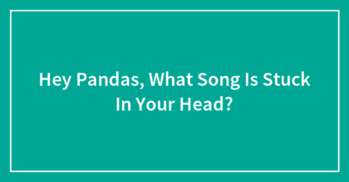 Hey Pandas, What Song Is Stuck In Your Head?