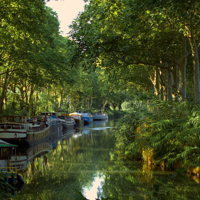 Toulouse’s Tranquil Magic – A Month Of Serenity With France’s Pink Sheep