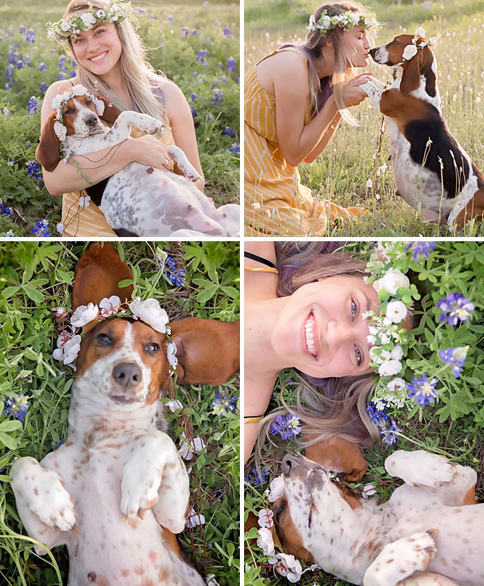 Maternity Shoot For My Pregnant Foster Dog