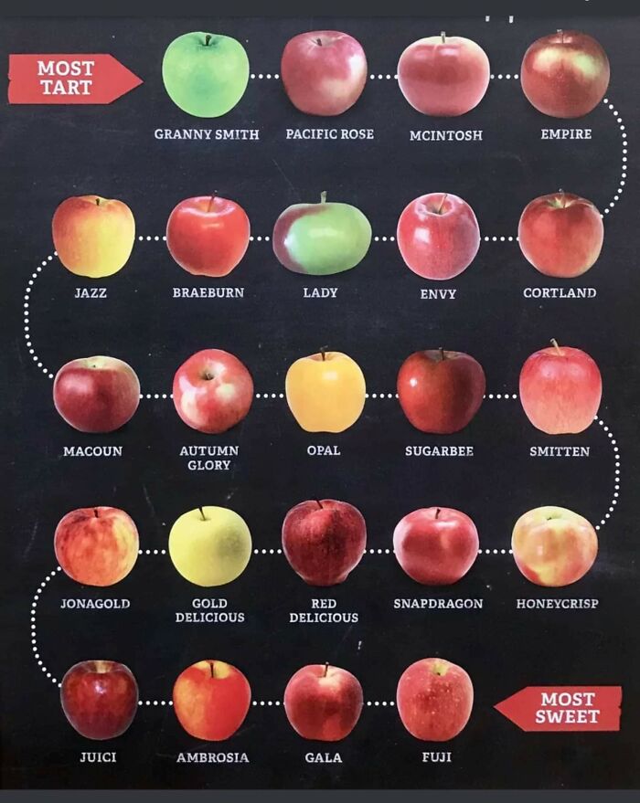 Apples On A Scale From Most Tart To Most Sweet