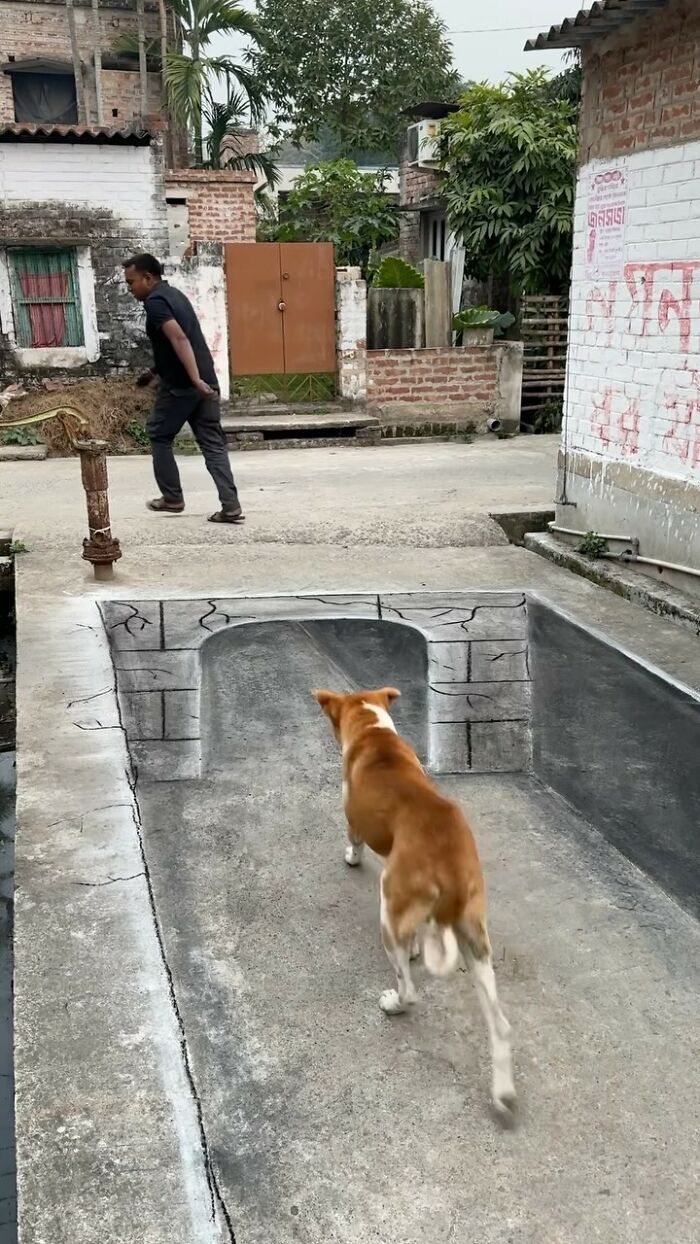 Art Teacher Entertains His Neighborhood With Fun 3D Street Art Made With Chalk (31 Pics)