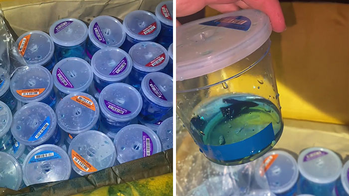 Dumpster Diver Finds Dozens Of Live Fish Just Tossed Away Behind A PetSmart, Netizens Outraged