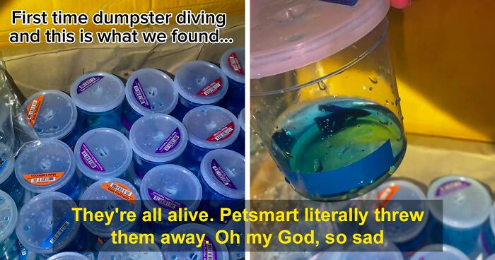 Dumpster Diver Finds Dozens Of Live Fish Just Tossed Away Behind A PetSmart, Netizens Outraged