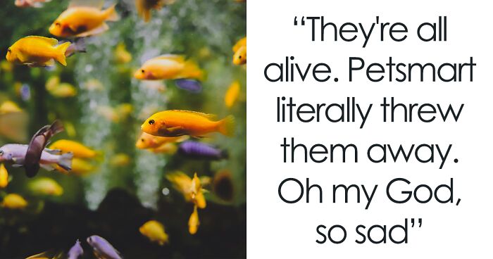 Dumpster Diver Finds Dozens Of Live Fish Just Tossed Away Behind A PetSmart, Netizens Outraged