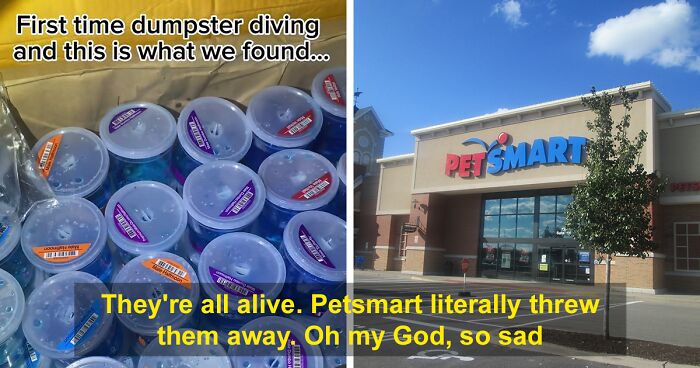 Dumpster Divers Find A Box Filled With Live Fish Outside PetSmart, Netizens In Disbelief