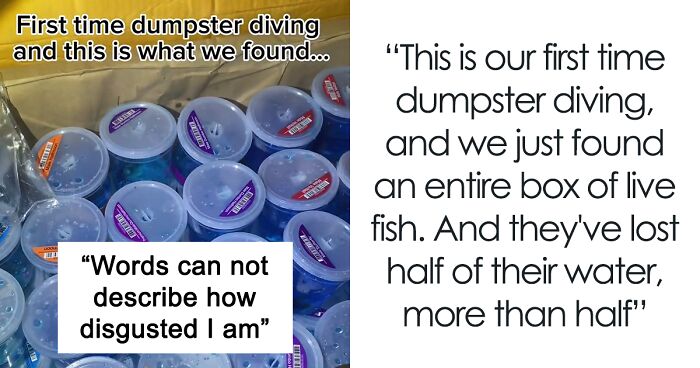 Dumpster Divers 'Disgusted' After Finding Entire Box Of Live Fish Outside PetSmart, Netizens Shocked