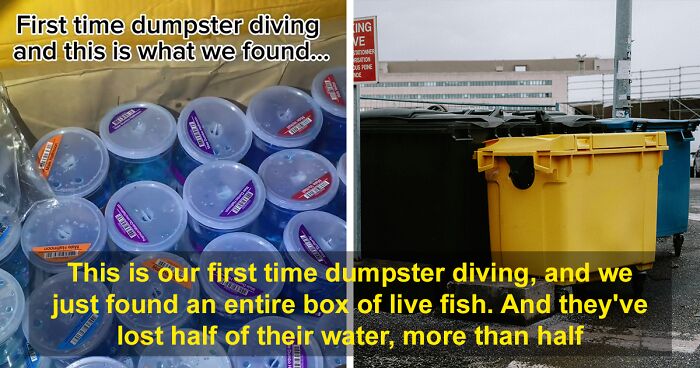 Dumpster Divers Stumble Upon Dozens Of Live Fish Thrown Out Behind A PetSmart, Netizens Enraged