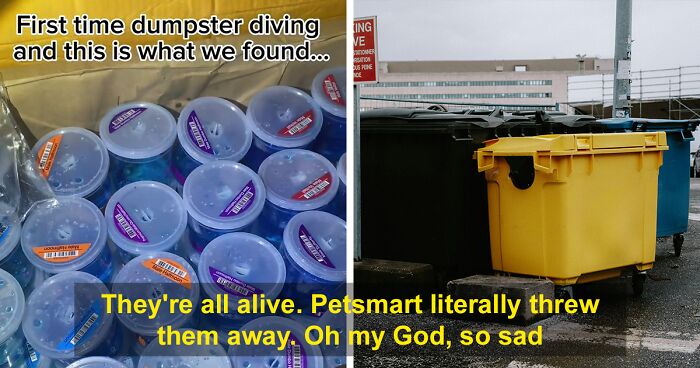 Dumpster Divers Make Appalling Discovery Of Live Fish Thrown Away Behind A PetSmart, Netizens Fume