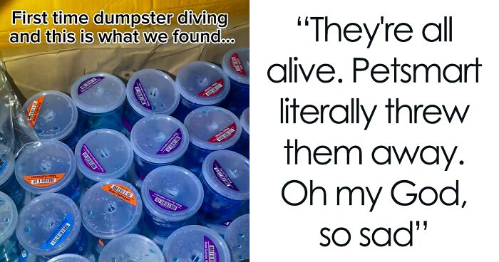 Dumpster Divers Discover Box of Live Fish Near PetSmart, Netizens Appalled And Enraged