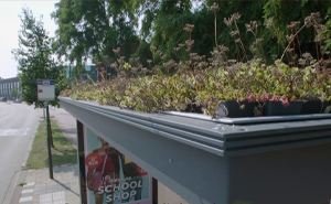 People Online Are Amazed By Dutch City That Recently Installed Over 300 Green-Roofed Bus Stops