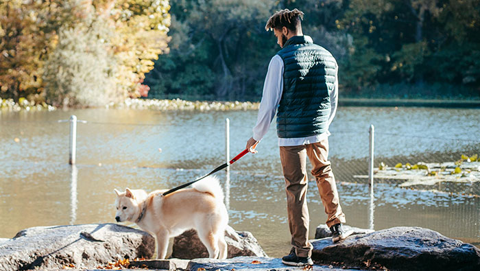 Dog Owner Schemes To Lure Fish Away From Boomers’ Fishing Zone After They Mess Up The Dog Pond