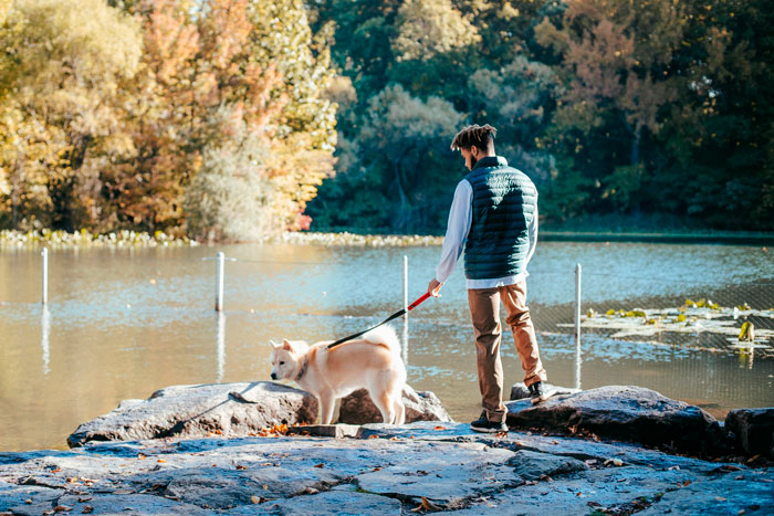 Dog Owner Schemes To Lure Fish Away From Boomers’ Fishing Zone After They Mess Up The Dog Pond