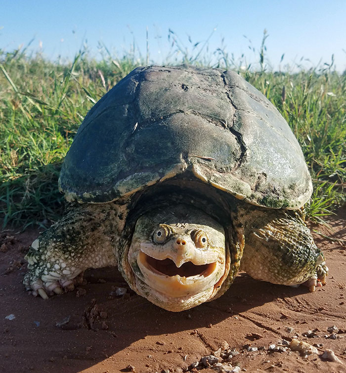 I Met This Happy Guy At Work This Morning