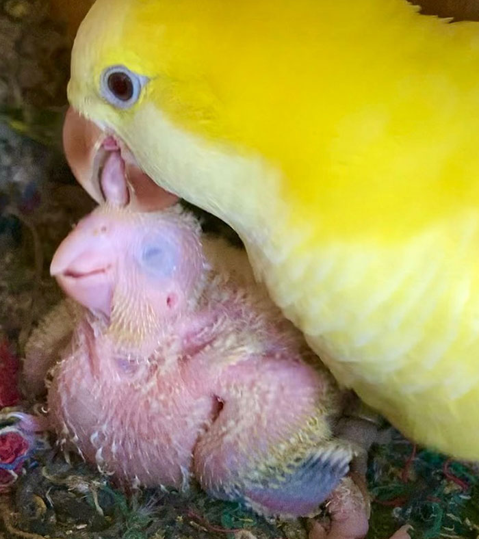 "Mommy's Gonna Clean You Up So You're Presentable When The Parole Board Comes By, Ok Sweetie?"