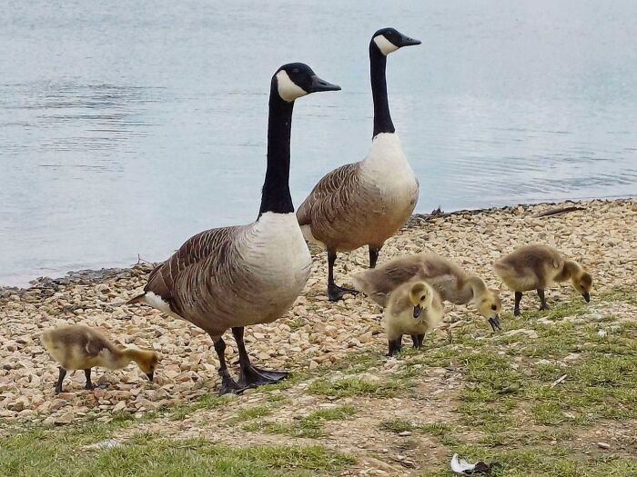 Shot I Took Of A Pair Of Proud Parents