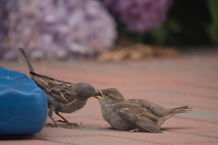 Mom And Baby In My Backyard