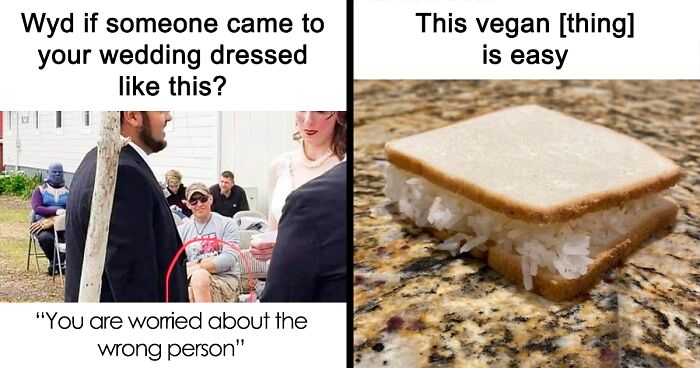 70 Funny Memes To Scroll Through Instead Of Working