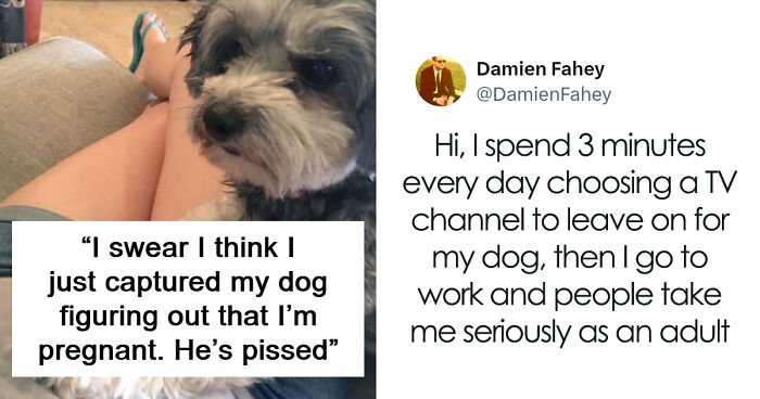 75 Times People Posted The Best Tweets About Dogs