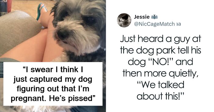 75 Funny Posts About Pups That Might Make You Fall Even More In Love With Dogs