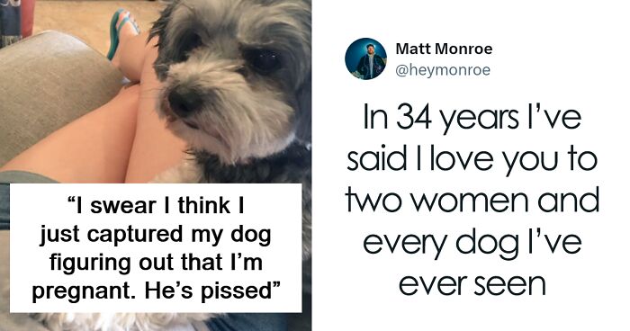 75 Dog Tweets That Might Put A Smile On Your Face