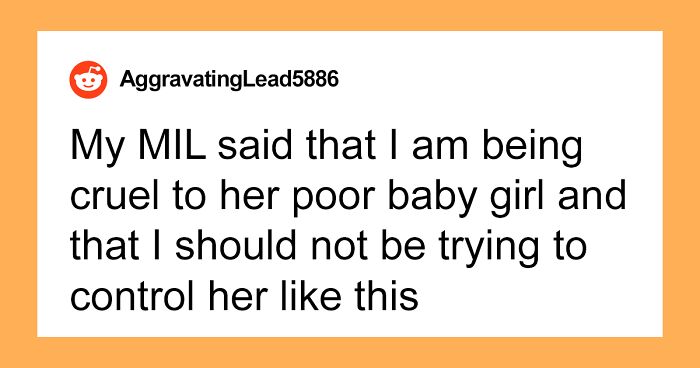 Mom Lets MIL Learn From Her Own Mistake After She Tried To Prove She’s A Better Parent