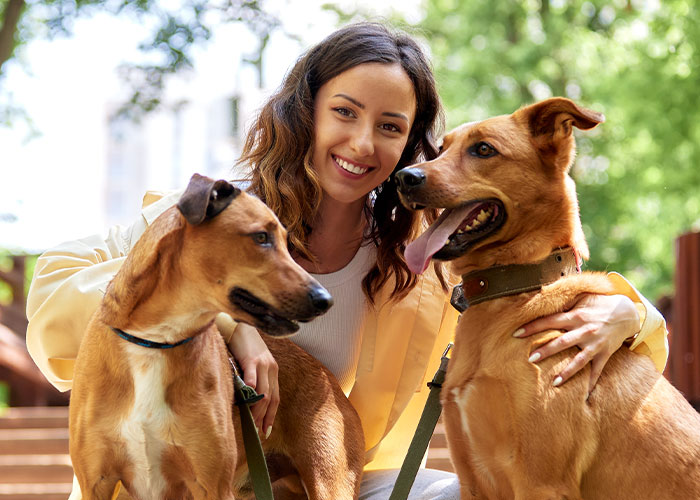 Woman Stops Talking To Mom Who Chose To Babysit Her Grandson Instead Of Watching Her Dogs