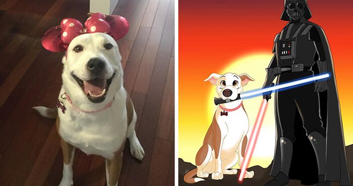 22 Adorable Pet Portraits In Disney Style By This Artist (New Pics)