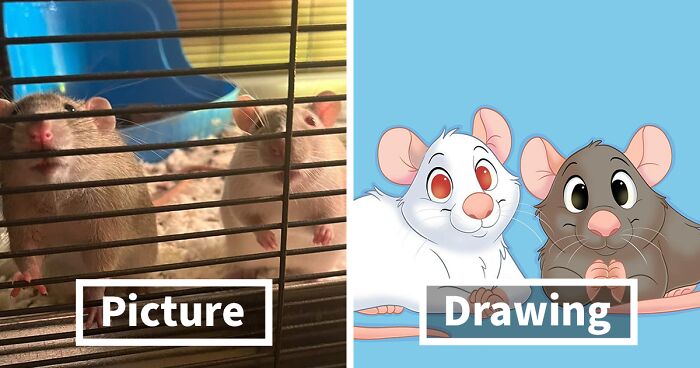 22 Adorable Pet Portraits In Disney Style By This Artist (New Pics)