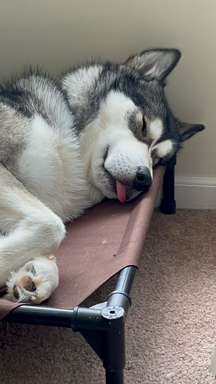 Always The Younger Out Of His Mouth. Even When He’s Sleeping 🤣