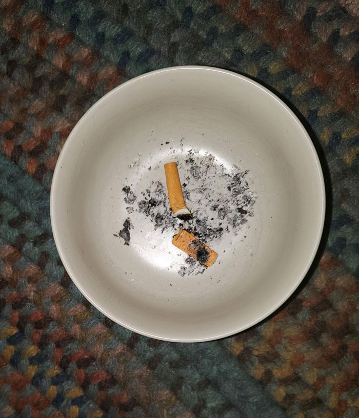 I Left My Friend In My Very Smoking Prohibited By Landlord Studio While I Went To Get Us Some Food. Came Back To Cigarette Butts In My Cereal Bowl