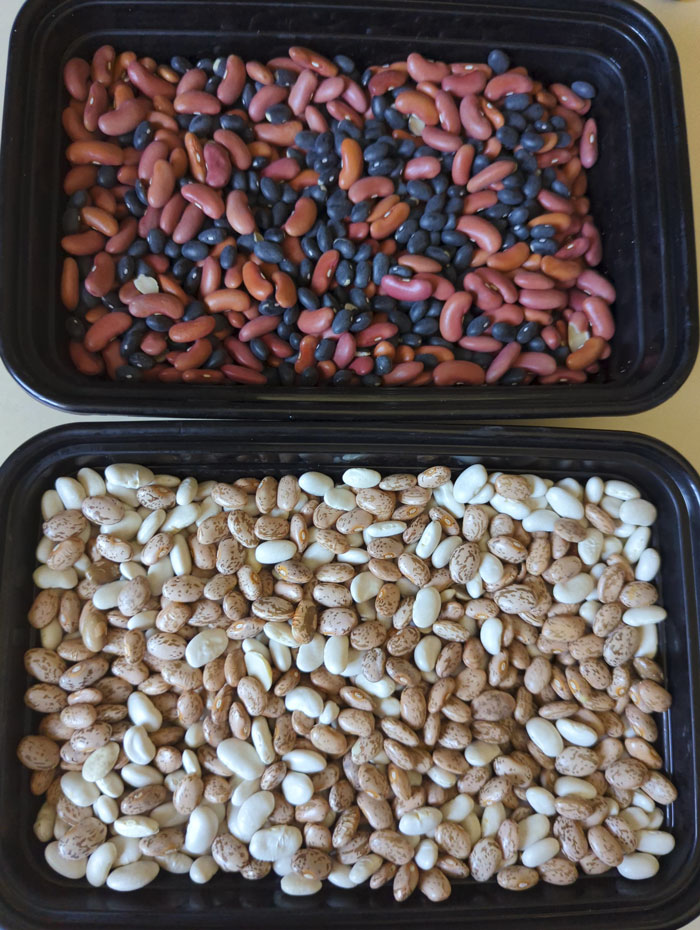 My Friend House-Sat For Me. When I Came Back, I Saw My Kidney And Black Beans Mixed Together Along With My Pinto And Great Northern Beans. She Did This To "Save Space" In My Cupboards