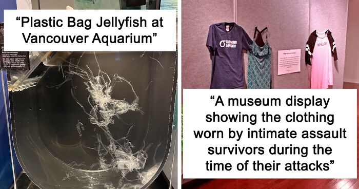 104 People Share Their Most Eccentric Finds During Museum Visits (New Pics)