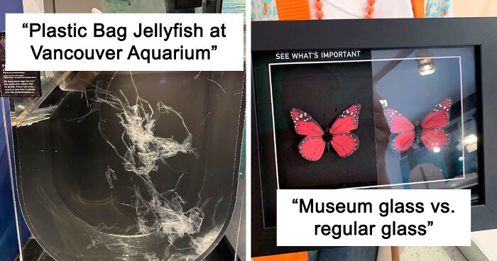 104 Pics Of Museum Exhibits People Found So Interesting, They Had To Share Them Online (New Pics)