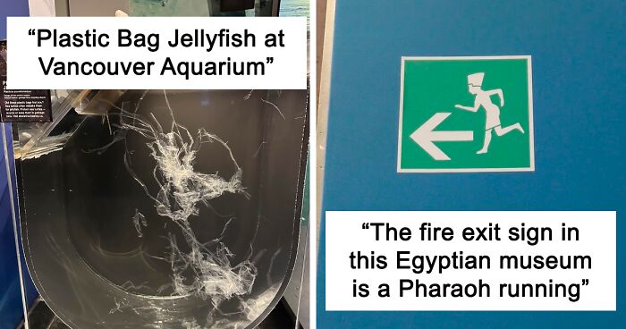 104 Times People Saw Such Cool Things In Museums, They Just Had To Share (New Pics)