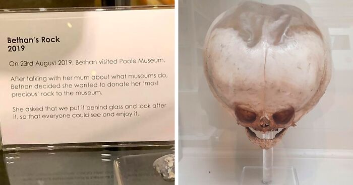 104 Times People Were So Amazed By These Museum Exhibits, They Shared Them With Everyone (New Pics)