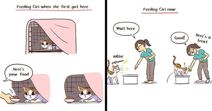 20 New Comics By This Artist That You Might Relate To If You're In A Relationship