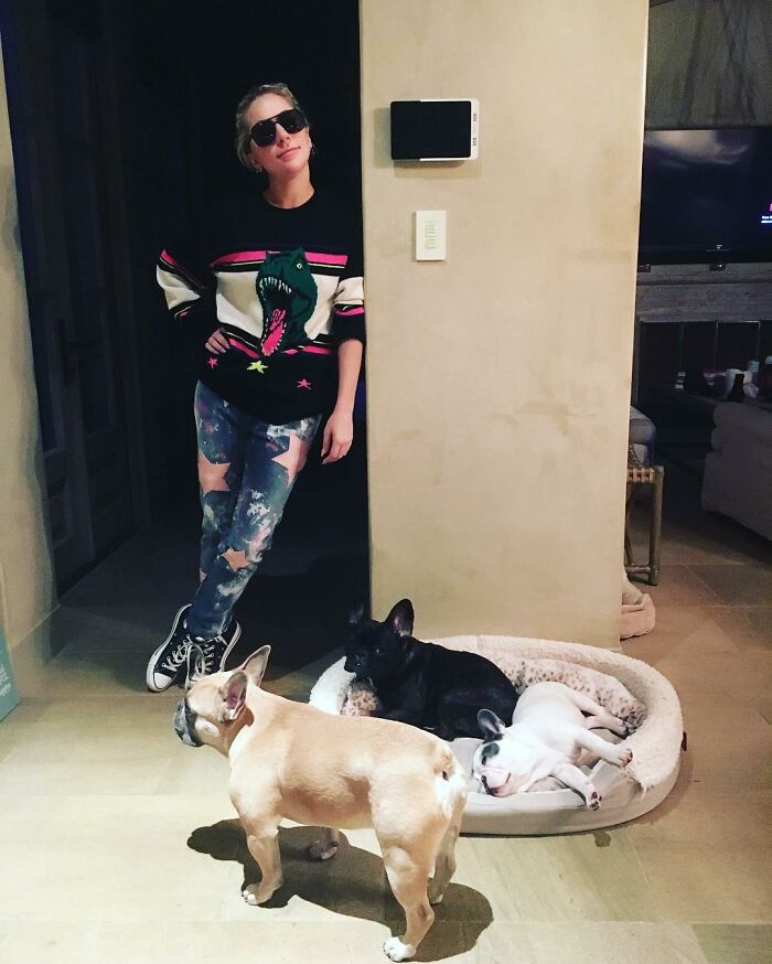 Lady Gaga Introduces New Pup Three Years After "Violent" Dognapping Horror