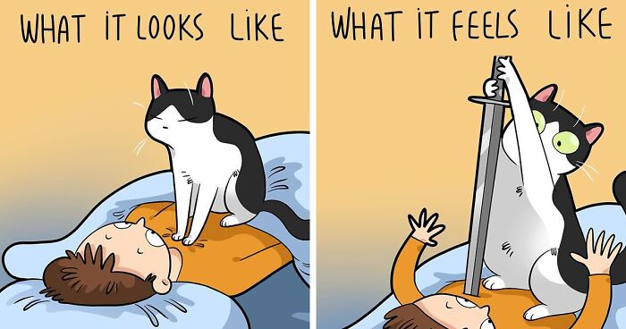 The Daily Realities Of Living With A Cat: 53 New Comics By Lingvistov