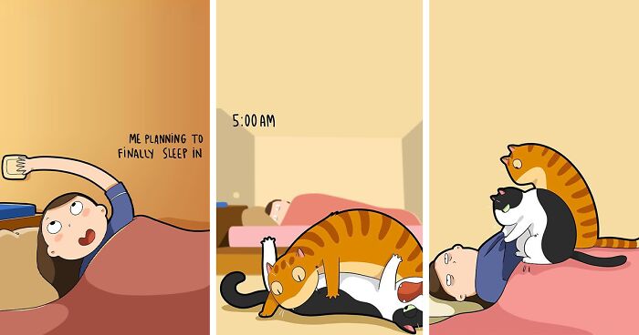 The Daily Realities Of Living With A Cat: 30 New Comics By Lingvistov