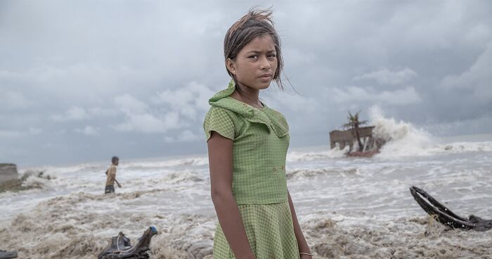 Mangrove Photography Awards 2024: 42 Winning Images That Show The Importance Of Mangroves