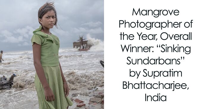 42 Eye-Opening Winning Images Of The 2024 Mangrove Photography Awards