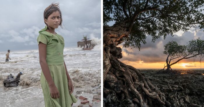 42 Winning Pictures Submitted To The MPA 2024 To Raise Awareness About Mangroves