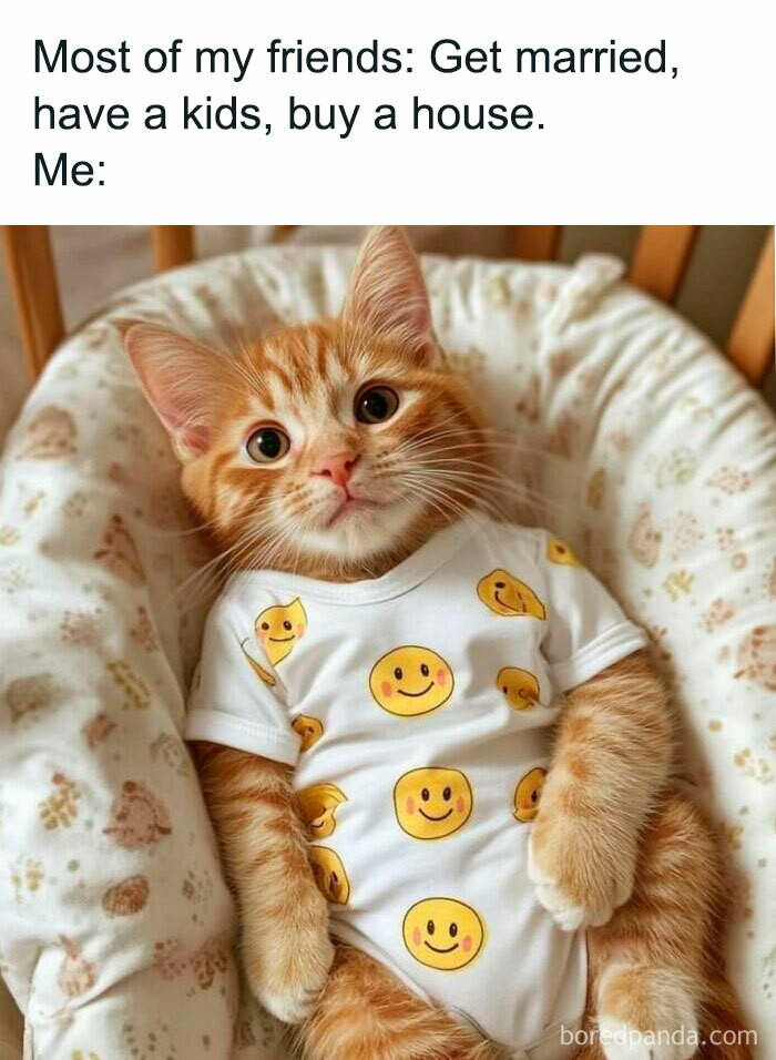 Cute cat meme showing a kitten in a smiley onesie, capturing feline attitude humorously.